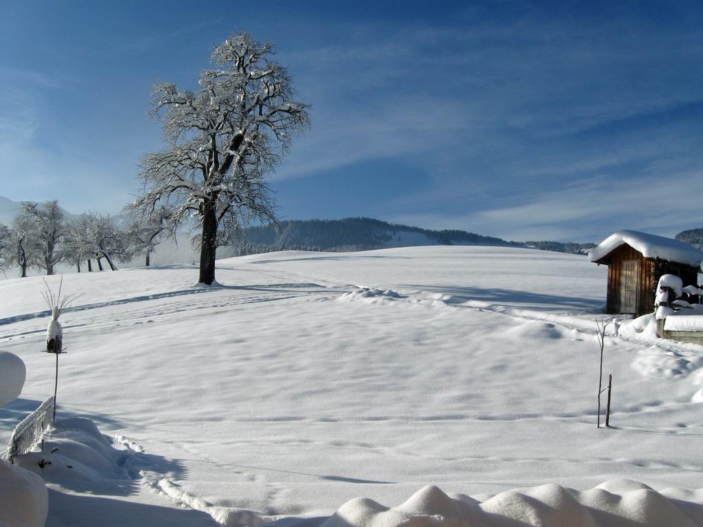 Villa Schweizer Hof Schwarzenberg im Bregenzerwald Exterior foto